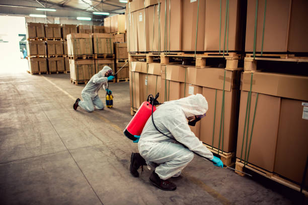 Best Bed Bug Extermination  in Alma, NE
