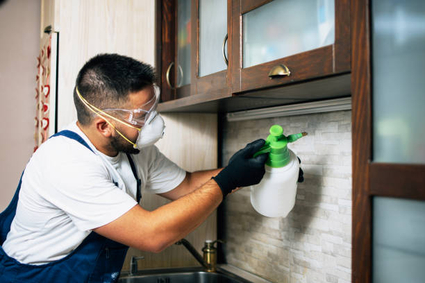 Best Exterminator Services  in Alma, NE