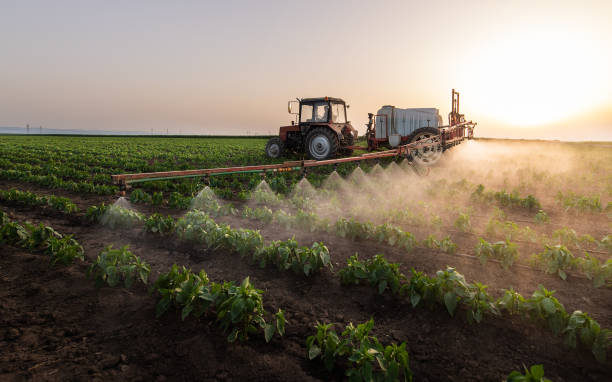 Best Ant Control Services  in Alma, NE