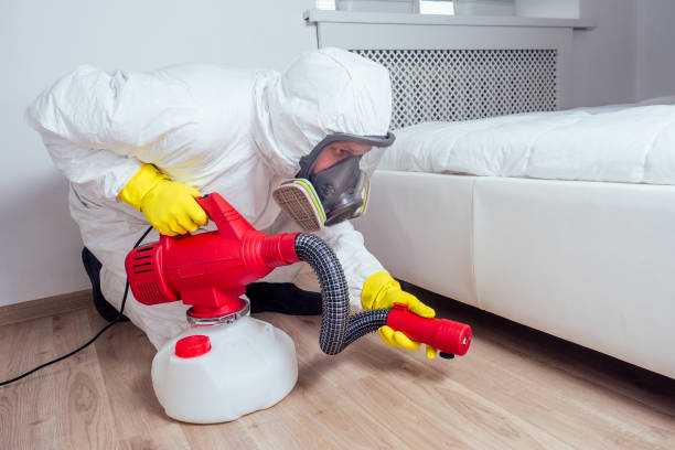 Best Pest Removal Services  in Alma, NE