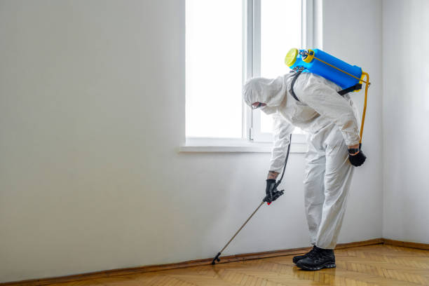Best Emergency Pest Control  in Alma, NE